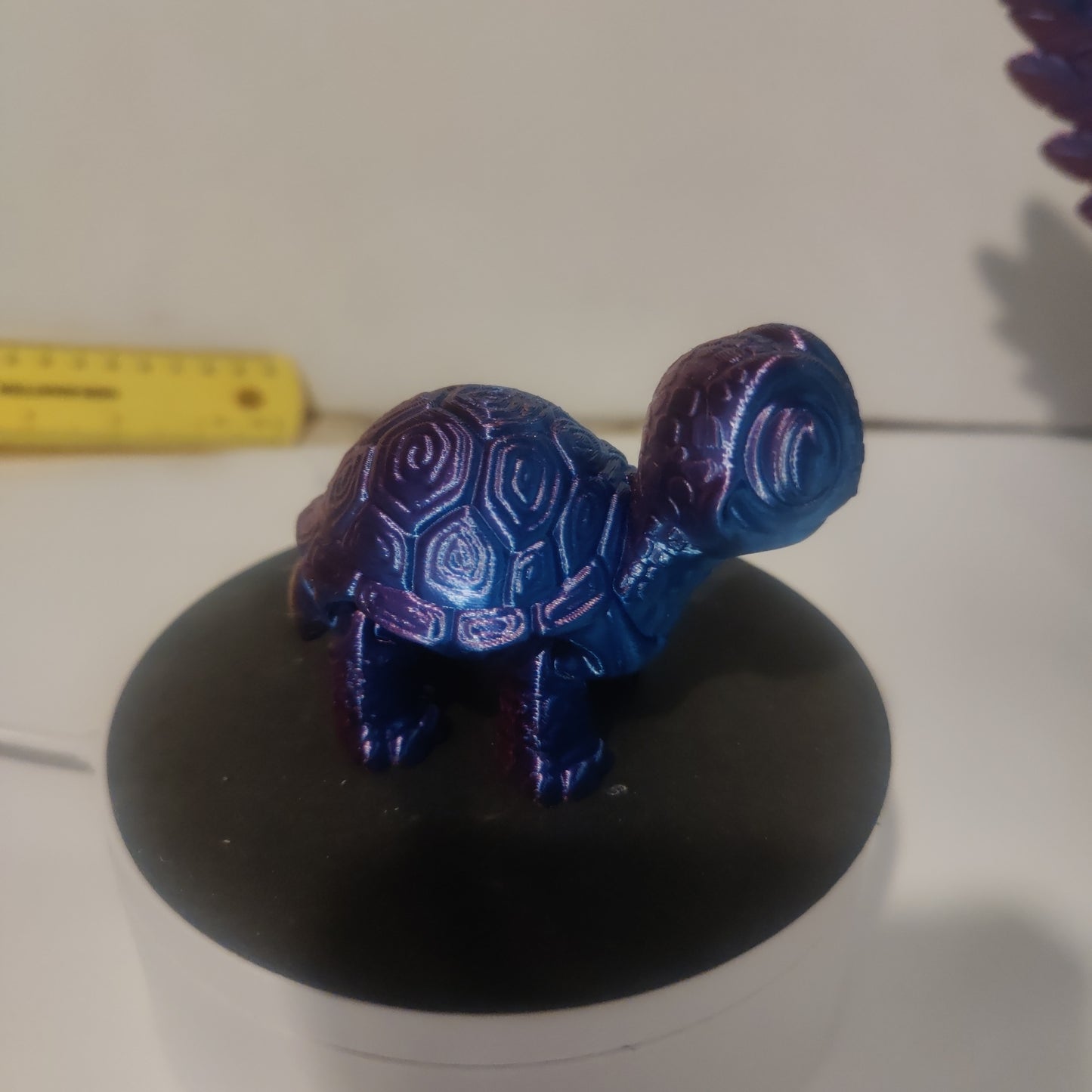 Small flexi cute turtle